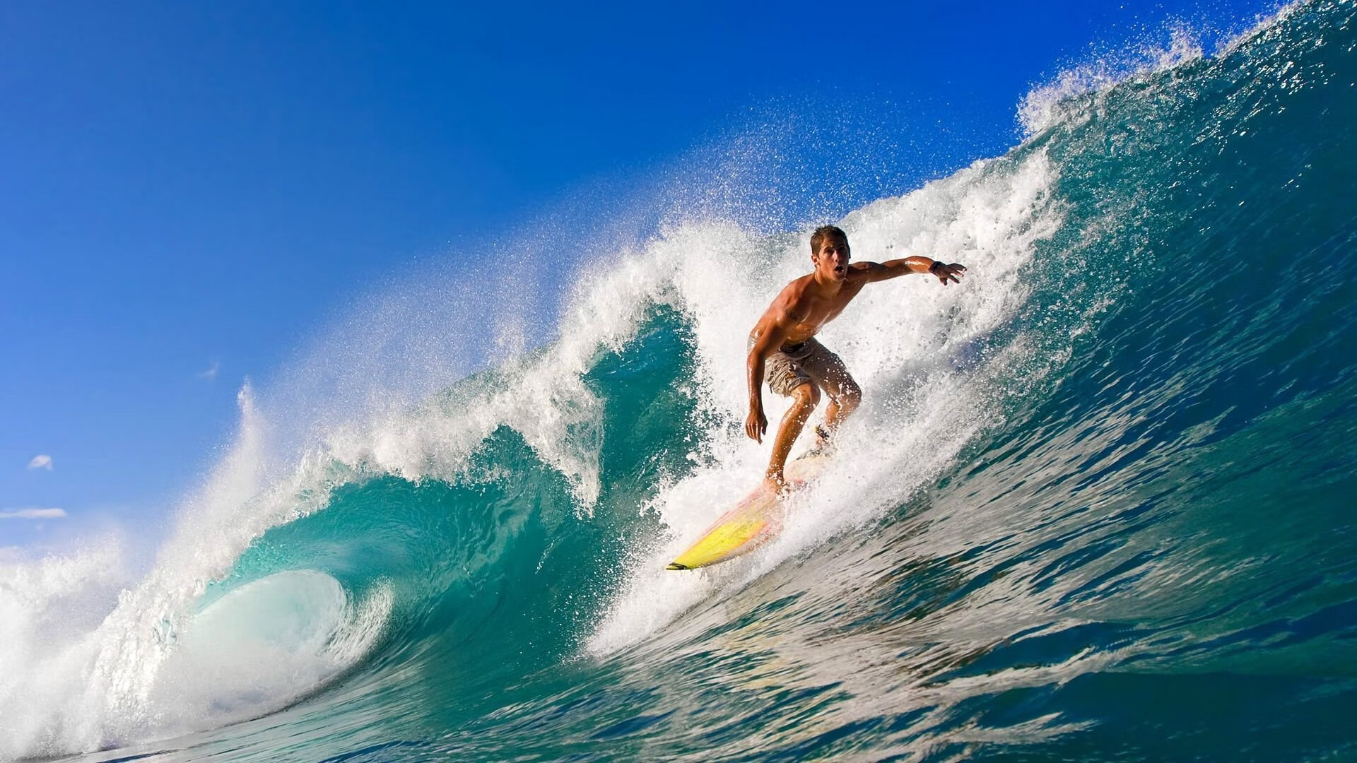 草原赛马节 长距离赛马与套马技艺同台上演
